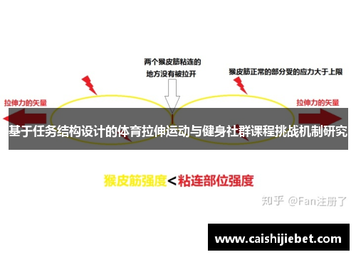 基于任务结构设计的体育拉伸运动与健身社群课程挑战机制研究