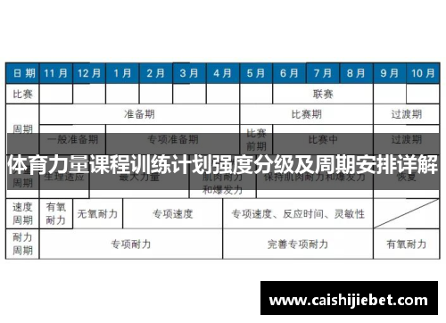 体育力量课程训练计划强度分级及周期安排详解
